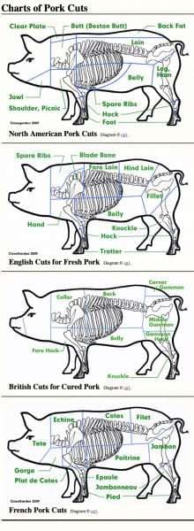 Chart of pork cuts