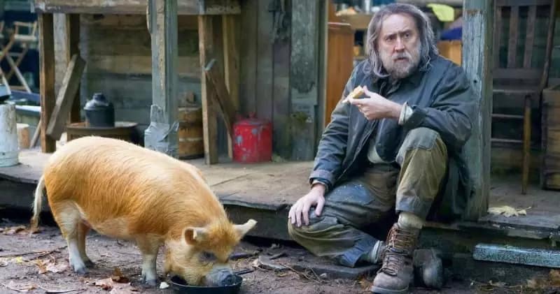 Pig & Nicholas Cage film