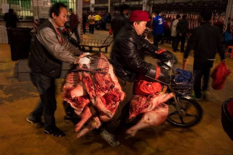 Shanghai market pigs