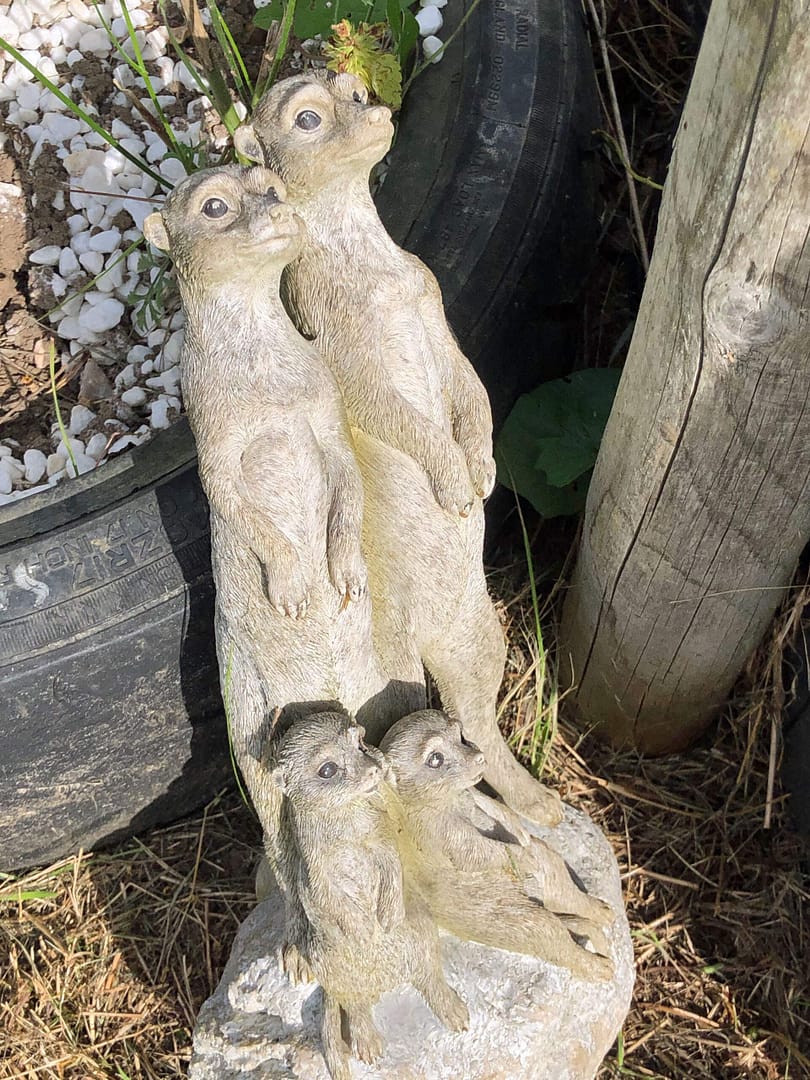 A group of 4 meerkats, mother & father, two kids, made in concrete on a round stand. Cold dead eyes.